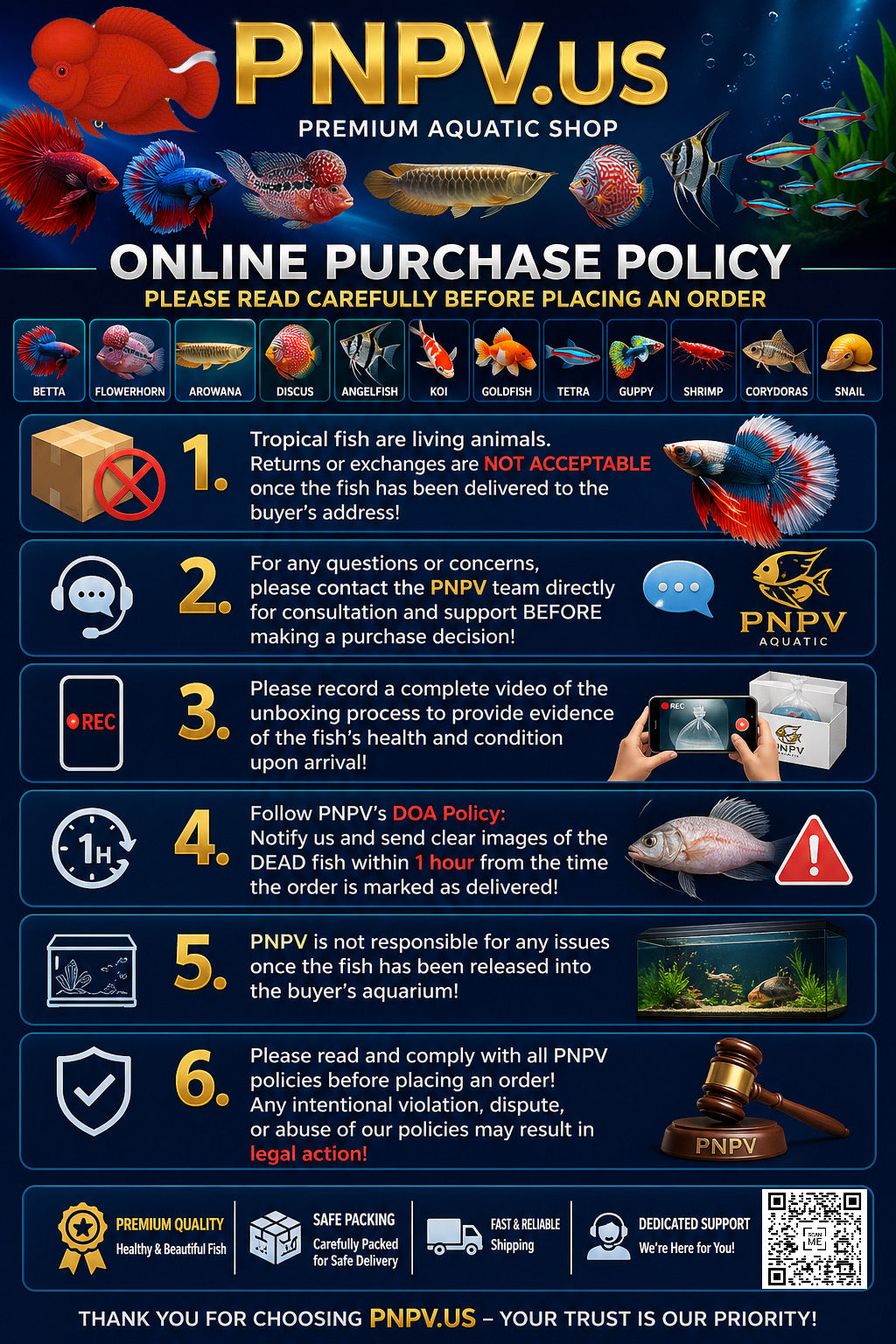 Premium Male Betta Super Red Halfmoon * Live Betta Fish High Quality - Fast USA Shipping