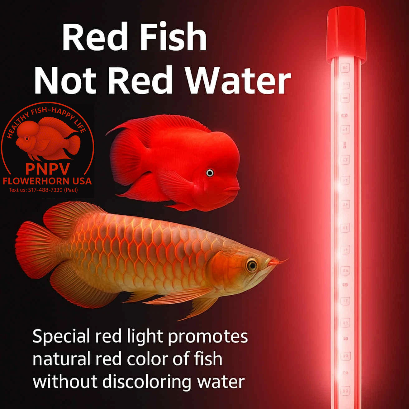 PNPV Tropical Premium Aquarium USA