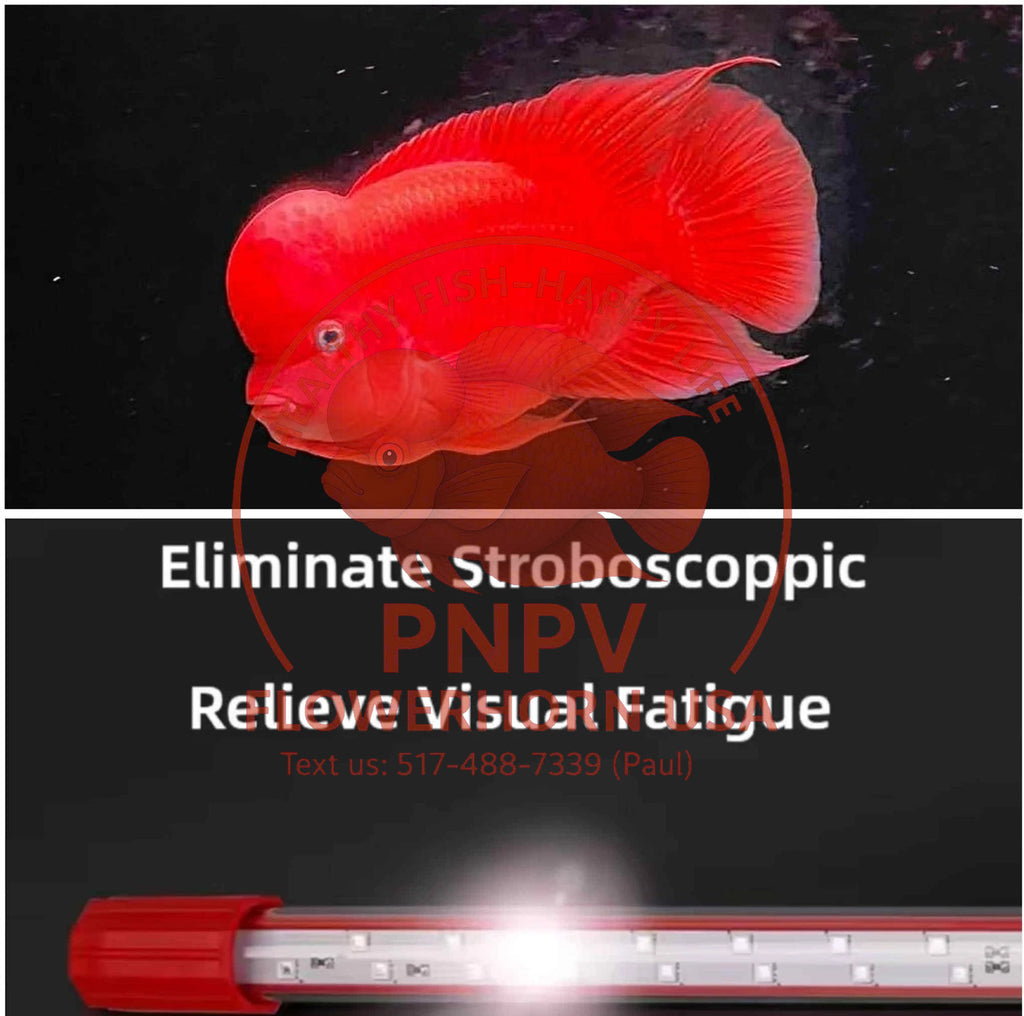 AQUA LED Light 20 inch – Enhances Fish Red Color Without Tinting Water – Boosts Red Pigment for Arowana, Kamfa, Super Red Monkey