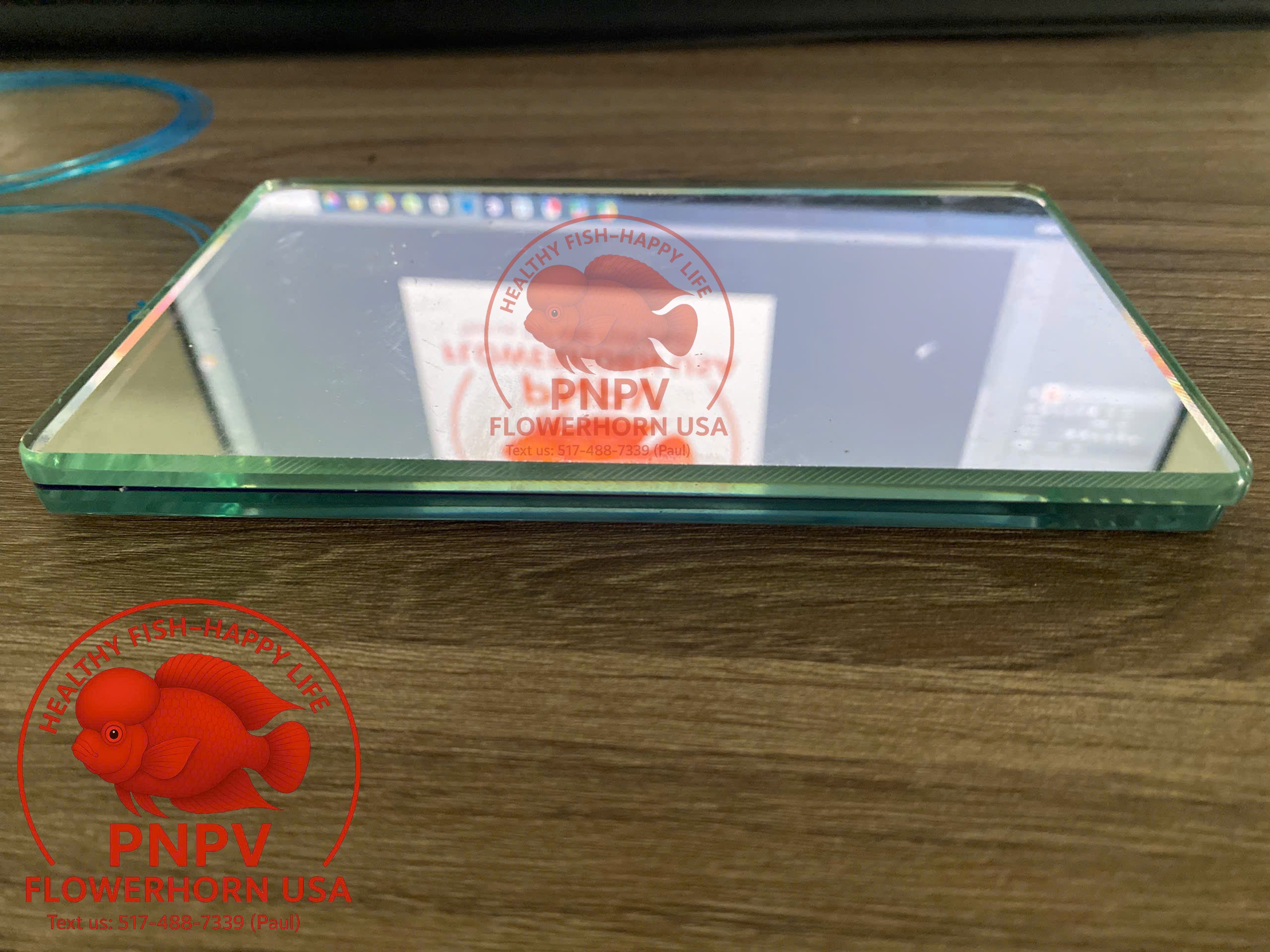 Specialized Flowerhorn Mirror – Stimulates Aggression – Supports Head Growth for Super Red Monkey & Kamfa