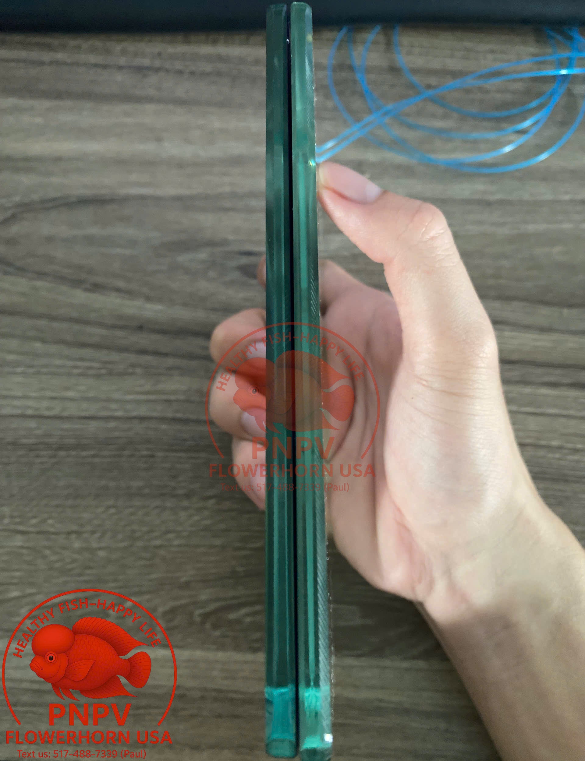 Specialized Flowerhorn Mirror – Stimulates Aggression – Supports Head Growth for Super Red Monkey & Kamfa