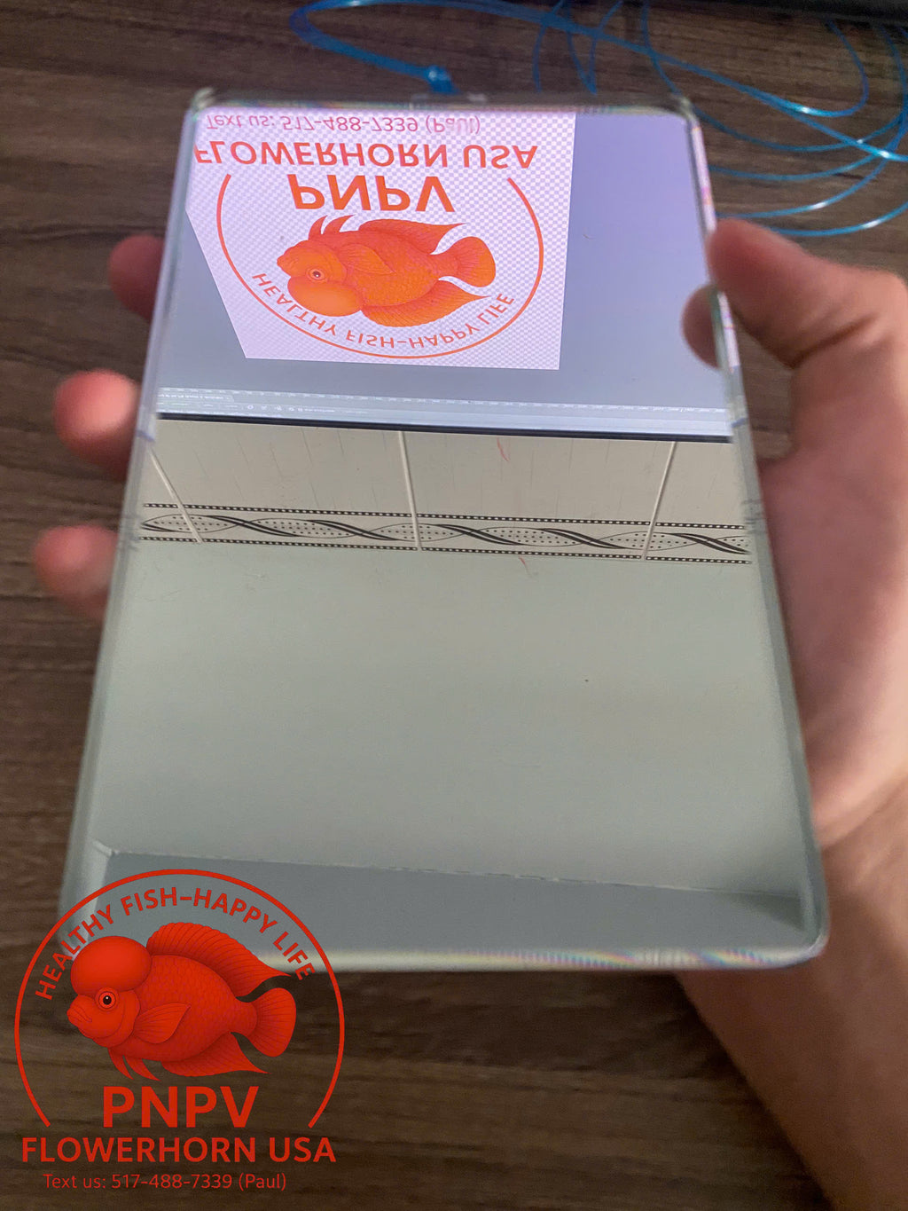 Specialized Flowerhorn Mirror – Stimulates Aggression – Supports Head Growth for Super Red Monkey & Kamfa