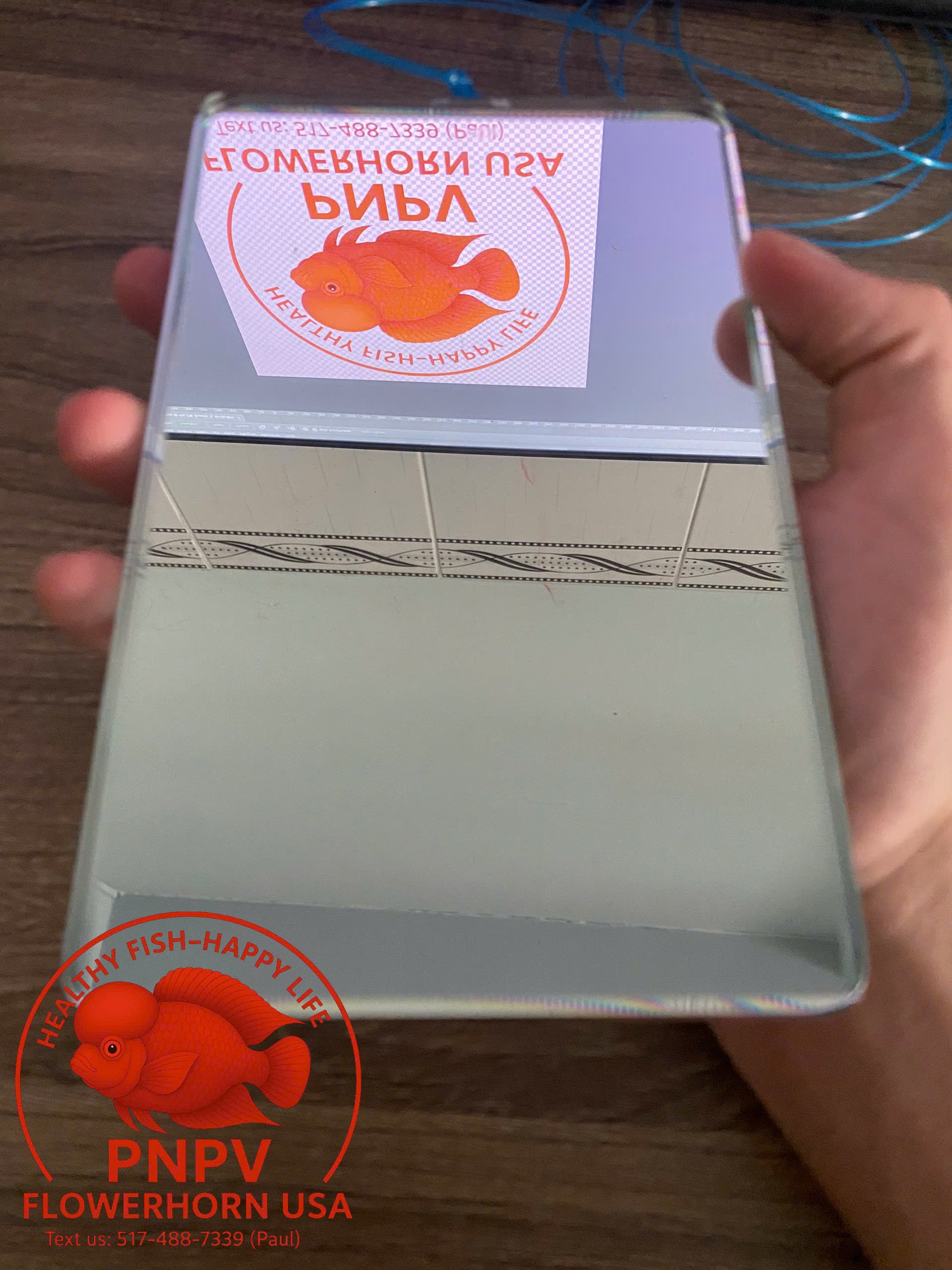 Specialized Flowerhorn Mirror – Stimulates Aggression – Supports Head Growth for Super Red Monkey & Kamfa