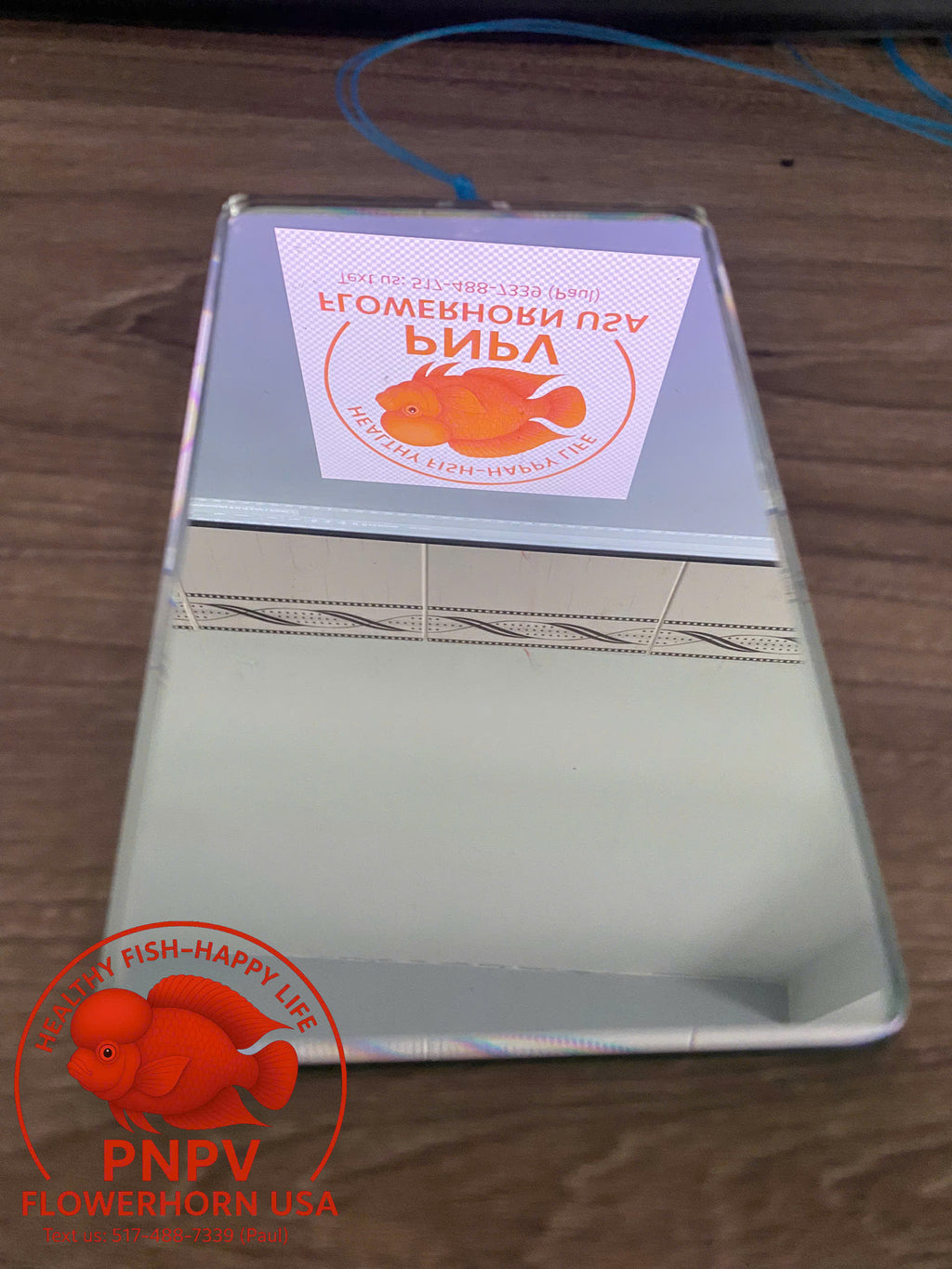 Specialized Flowerhorn Mirror – Stimulates Aggression – Supports Head Growth for Super Red Monkey & Kamfa