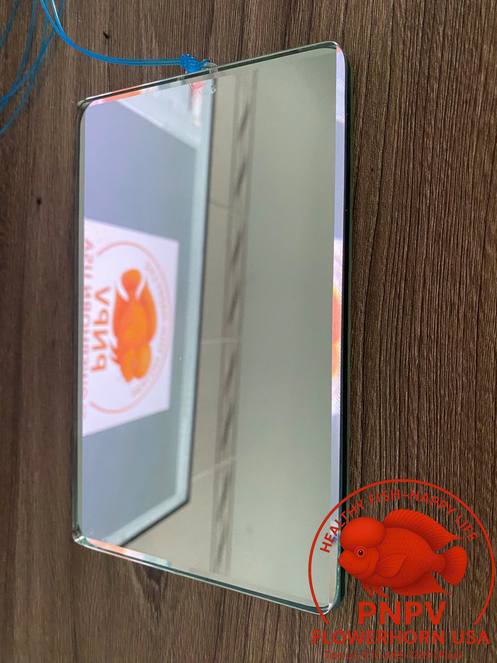 Specialized Flowerhorn Mirror – Stimulates Aggression – Supports Head Growth for Super Red Monkey & Kamfa