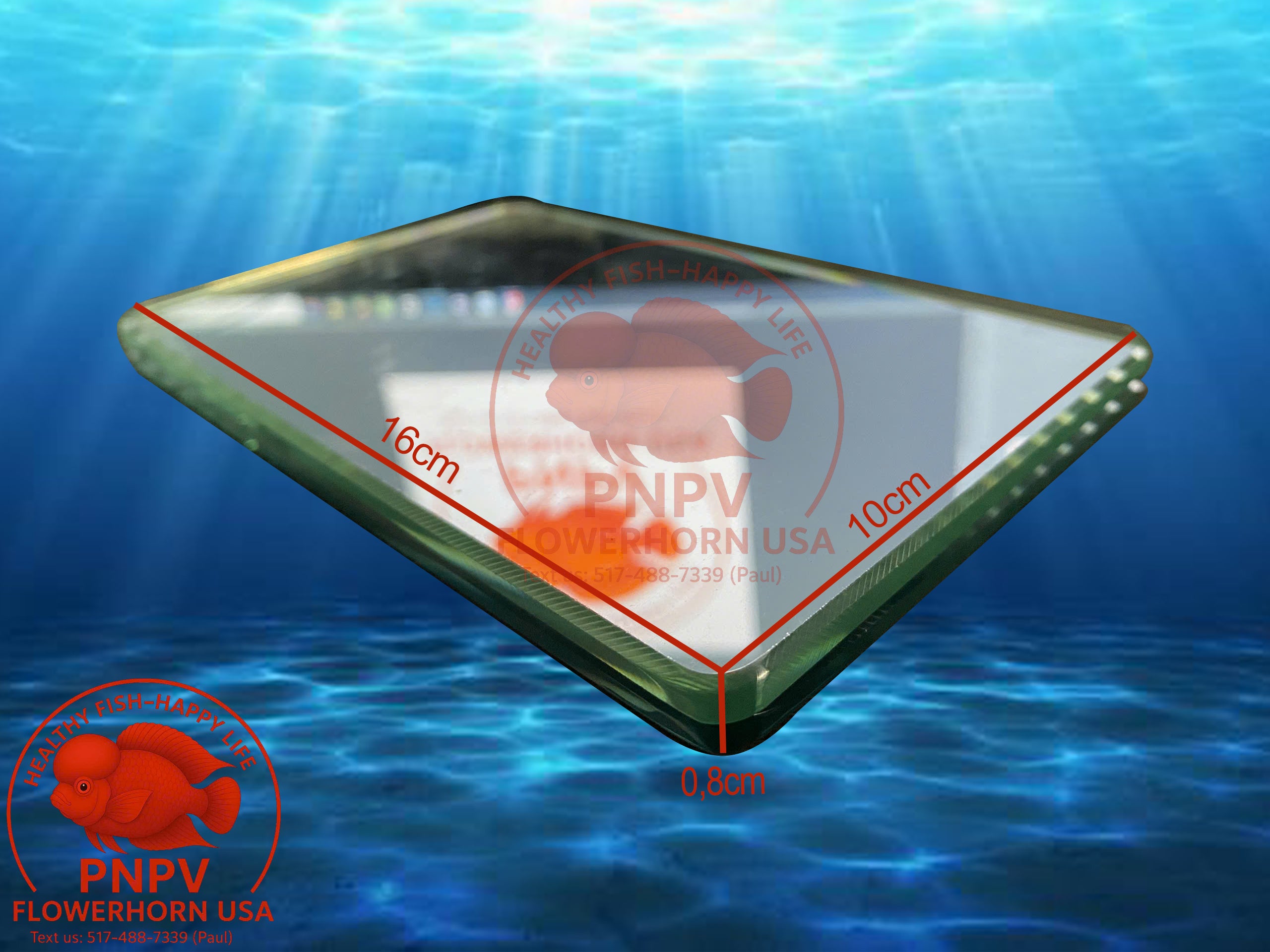 Specialized Flowerhorn Mirror – Stimulates Aggression – Supports Head Growth for Super Red Monkey & Kamfa